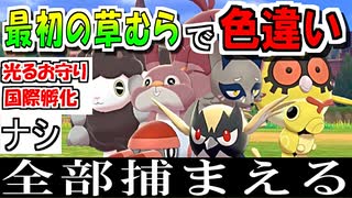 最初の草むら色違い全部捕まえると人はどうなるのか？やってみた