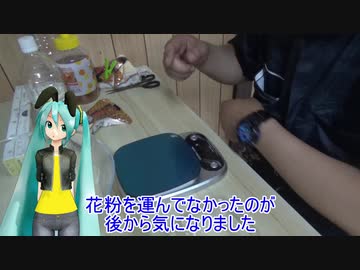 【素人養蜂　Part66】途中経過です