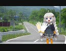 道路に軍手を落とすバイトをするあかりちゃん【10秒動画祭】