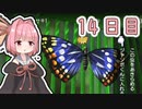 【ボイロ実況】茜ちゃんと、ぼくのなつやすみ3【14日目】