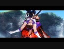 doa5 直虎 セーラーサターンmod リョナ(新)