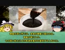 【ゆっくり解説】糖蜜タンクが崩壊...870万リットルの糖蜜が街を破壊する...ボストン糖蜜災害