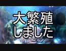 海水水槽立ち上げ3年