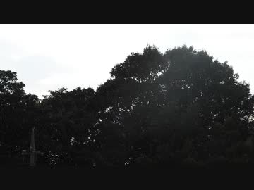 雨降りの映像【フリー素材あそび】