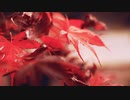 SEASONS - Chiyu Ver.