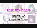 【NEUTRINO】『true my heart (きしめん)』【アカペラカバー】