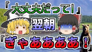 【1996年】「大丈夫だから!」頑なに警告を断った写真家 ヒグマに森へ連れ去られ...『写真家羆襲撃』【ゆっくり解説】