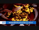 中国で炭疽病患者を１人確認・2011年以降で初