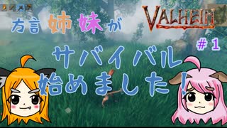 【姉妹実況】＃1 キャラメイク＆草原探索編【ヴァルヘイム】
