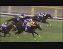 ウマ娘のお馬さんで競馬MAD