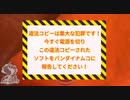 GO VACATION (2011) Anti-Piracy Screen