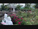 ハーブ園　勝沼庭園