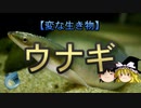 【ゆっくり解説】ウナギ
