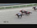 【３歳Ａ４】ゴルシ産駒・ゴールドフレイバーの末脚2
