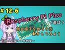 #12-6 倒立振子を作ろう⑥動かしてみよう ～DHAの電子工作教室～【Raspberry Pi Pico】