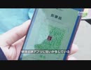 中国のデタラメ健康コード・緑色だったのが突然黄色や赤色に ＃中国ウイルス ＃武漢肺炎 ＃新型コロナ ＃COVID-19 ＃ワクチン
