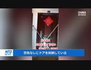 ドアを溶接・中国当局の行き過ぎた感染対策再び ＃中国ウイルス ＃武漢肺炎 ＃新型コロナ ＃COVID-19 ＃ワクチン