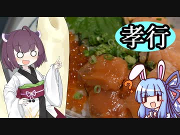 【悪事祭】親孝行きりたん（鮭イクラ丼）