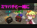 【Minecraft1.16.5】minecraftでまったり環境破壊　part3