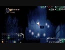 【KN姉貴】ホロウナイト ランダマイザー　20210630.mp2