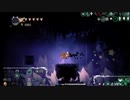 【KN姉貴】ホロウナイト ランダマイザー　20210630.mp4