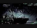 【KN姉貴】ホロウナイト ランダマイザー　20210706　後編
