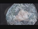 【フルボイス実況】平泉成で真流行り神3 Part18-1【にわか乙の定時放送】