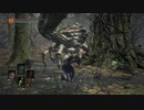 【実況】gdgDARKSOULSⅢ Part12