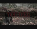 【実況】gdgDARKSOULSⅢ Part13