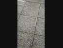 ２秒くらいの動画