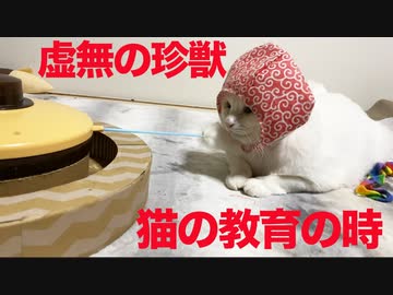 ウチューネコチャン、バズった珍鈍獣を教育する