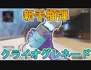 今後新グレネードとして「クライオグレネード」が追加される！？これは最強武器不可避！？海外で話題に！！【リーク】【APEX LEGENDS/エーペックスレジェンズ】