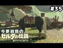 【ゼルダの伝説ブレスオブザワイルド】あらかわいい【実況プレイ】#35