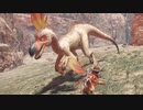 #６ 一式わらしべ狩猟Ｒ【フロギィ一式】