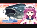 【Summer Pockets】これ何のゲームでしたっけ？？？初心者狩りをするロリがこちらｗｗ#46【REFLECTION BLUE】