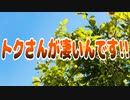 トクさんが凄いんです!!