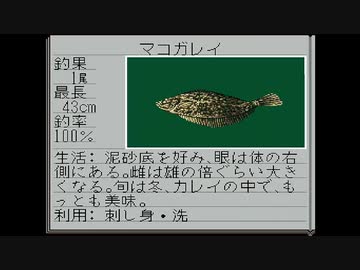 【SFC海のぬし釣り】ゆったりのんびり海釣りに行こう リターンズ その05