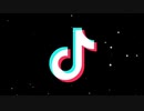 TikTok音源※自分用(11？)