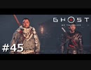 #45.修羅の僧【GHOST OF TSUSHIMA】(畑)