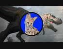 【ＭＴＧアリーナ】サ ー バ ル ち ゃ ん は ガ ル タ が お 好 き ♯71【100枚ヒスブロ】