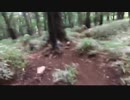男体山 part5