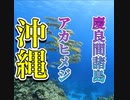 沖縄ダイビング・アカヒメジの群れ・慶良間諸島国立公園