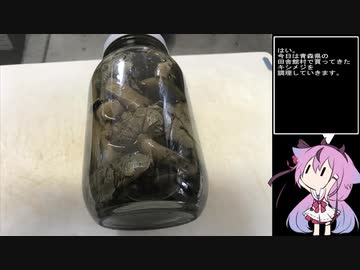 珍食材が食べたい！#14　キシメジとジュウロクササゲのバター炒め