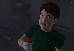 日本の夏、山田家の夏 Part.9【蚊】