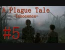 【A Plague Tale-Innocence-】幾千の死体とネズミの群れを掻い潜ることはできるのか？#5