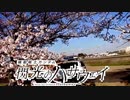 やっちゃいなよ！そんな撮り鉄なんか