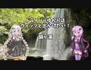 ドライバーゆかりはヴィッツとでかけたい！ to 熊本県小国町鍋ヶ滝【VOICEROID車載】