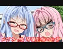 メガネっ娘 琴葉姉妹の日常 [10秒動画祭]【VOICEROIDホラー】くろぎつね劇場 番外編