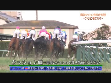 馬場のクッション性がわかる目安　～クッション値について～