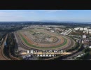 美浦トレーニング・センターの施設と調教コース
